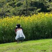 ヒメ日記 2025/08/12 15:02 投稿 ひな 30分3900円！サンキュー静岡店（サンキューグループ）