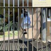 ヒメ日記 2025/08/28 09:03 投稿 ひな 30分3900円！サンキュー静岡店（サンキューグループ）