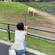 ヒメ日記 2025/09/22 11:42 投稿 ひな 30分3900円！サンキュー静岡店（サンキューグループ）