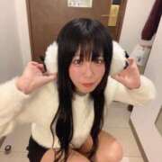 ヒメ日記 2025/12/22 09:12 投稿 ひな 30分3900円！サンキュー静岡店（サンキューグループ）