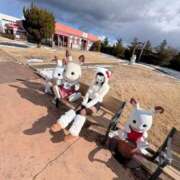 ひな 一緒に…しよ💓？ 30分3900円！サンキュー静岡店（サンキューグループ）