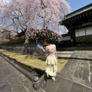 ヒメ日記 2026/04/06 09:32 投稿 ひな 30分3900円！サンキュー静岡店（サンキューグループ）