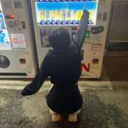 ヒメ日記 2026/05/29 08:02 投稿 ひな 30分3900円！サンキュー静岡店（サンキューグループ）