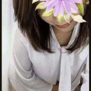 ヒメ日記 2026/04/17 09:27 投稿 うい 熟女家 堺東店