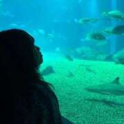 ヒメ日記 2025/09/16 21:56 投稿 ぷりん 兵庫姫路・加古川ちゃんこ