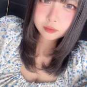 ヒメ日記 2025/09/17 11:35 投稿 ぷりん 兵庫姫路・加古川ちゃんこ