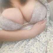 ヒメ日記 2025/09/18 01:41 投稿 ぷりん 兵庫姫路・加古川ちゃんこ