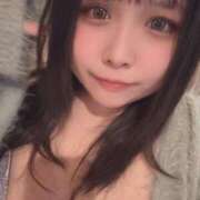 ヒメ日記 2025/11/19 17:43 投稿 ぷりん 兵庫姫路・加古川ちゃんこ