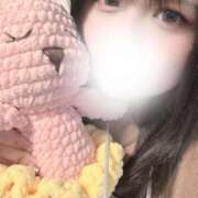 ヒメ日記 2025/12/01 21:18 投稿 ぷりん 兵庫姫路・加古川ちゃんこ