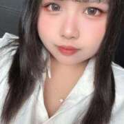 ヒメ日記 2025/12/03 11:44 投稿 ぷりん 兵庫姫路・加古川ちゃんこ