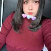 ヒメ日記 2025/12/05 11:30 投稿 ぷりん 兵庫姫路・加古川ちゃんこ