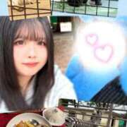 ヒメ日記 2026/02/24 16:41 投稿 ぷりん 兵庫姫路・加古川ちゃんこ