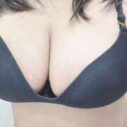 ヒメ日記 2026/02/25 00:10 投稿 ぷりん 兵庫姫路・加古川ちゃんこ