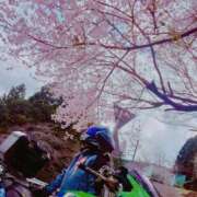 ヒメ日記 2025/04/04 13:42 投稿 ひかり Sナース女学園