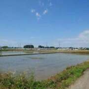 ヒメ日記 2025/06/24 13:07 投稿 ひかり Sナース女学園