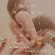 ヒメ日記 2024/11/25 11:09 投稿 Emi Terasawa ELEGANT－エレガント－