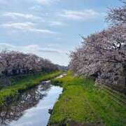 ヒメ日記 2025/03/30 20:08 投稿 Emi Terasawa ELEGANT－エレガント－