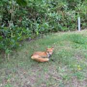 ヒメ日記 2025/09/21 20:01 投稿 Emi Terasawa ELEGANT－エレガント－