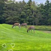 ヒメ日記 2025/09/25 08:02 投稿 Emi Terasawa ELEGANT－エレガント－