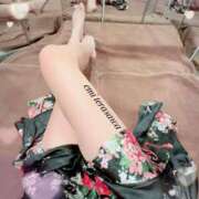 ヒメ日記 2026/02/12 09:35 投稿 Emi Terasawa ELEGANT－エレガント－