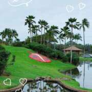 ヒメ日記 2026/03/23 09:15 投稿 Emi Terasawa ELEGANT－エレガント－