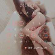 ヒメ日記 2026/04/27 10:41 投稿 Emi Terasawa ELEGANT－エレガント－