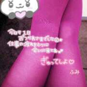 ヒメ日記 2026/02/19 19:46 投稿 ふみ 久留米デリヘルセンター