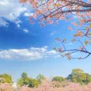 ヒメ日記 2025/03/22 23:36 投稿 なぎさ モアグループ熊谷人妻花壇