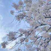 ヒメ日記 2025/04/06 23:27 投稿 なぎさ モアグループ熊谷人妻花壇