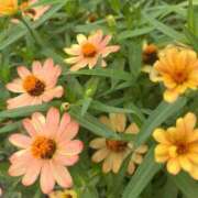 ヒメ日記 2025/03/01 19:06 投稿 千尋(ちひろ) グランドオペラ横浜