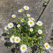 ヒメ日記 2025/03/06 14:03 投稿 千尋(ちひろ) グランドオペラ横浜