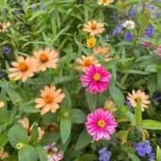 ヒメ日記 2025/03/06 20:02 投稿 千尋(ちひろ) グランドオペラ横浜