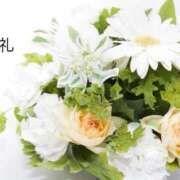 ヒメ日記 2025/03/11 10:51 投稿 千尋(ちひろ) グランドオペラ横浜