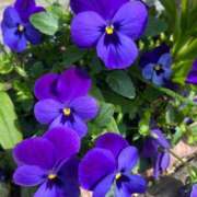 ヒメ日記 2025/03/23 17:02 投稿 千尋(ちひろ) グランドオペラ横浜