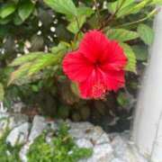 ヒメ日記 2025/03/23 22:01 投稿 千尋(ちひろ) グランドオペラ横浜