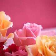 ヒメ日記 2025/04/08 00:12 投稿 千尋(ちひろ) グランドオペラ横浜