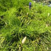 ヒメ日記 2025/04/09 16:26 投稿 千尋(ちひろ) グランドオペラ横浜