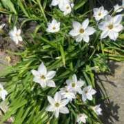 ヒメ日記 2025/04/12 22:11 投稿 千尋(ちひろ) グランドオペラ横浜