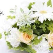 ヒメ日記 2025/04/15 17:02 投稿 千尋(ちひろ) グランドオペラ横浜