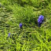 ヒメ日記 2025/04/16 09:21 投稿 千尋(ちひろ) グランドオペラ横浜