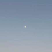 ヒメ日記 2025/04/20 19:34 投稿 千尋(ちひろ) グランドオペラ横浜