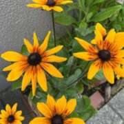 ヒメ日記 2025/04/21 08:11 投稿 千尋(ちひろ) グランドオペラ横浜