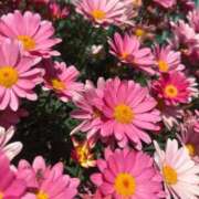 ヒメ日記 2025/05/03 14:51 投稿 千尋(ちひろ) グランドオペラ横浜