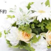 ヒメ日記 2025/06/05 10:31 投稿 千尋(ちひろ) グランドオペラ横浜