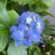 ヒメ日記 2025/07/15 09:02 投稿 千尋(ちひろ) グランドオペラ横浜