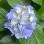 ヒメ日記 2025/07/16 09:32 投稿 千尋(ちひろ) グランドオペラ横浜