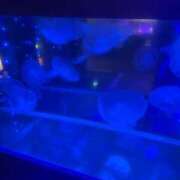 ヒメ日記 2025/07/31 15:06 投稿 千尋(ちひろ) グランドオペラ横浜