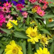 ヒメ日記 2025/08/23 07:11 投稿 千尋(ちひろ) グランドオペラ横浜