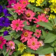 ヒメ日記 2025/08/28 23:11 投稿 千尋(ちひろ) グランドオペラ横浜