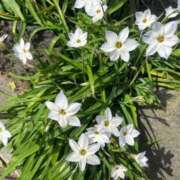 ヒメ日記 2025/09/04 09:41 投稿 千尋(ちひろ) グランドオペラ横浜